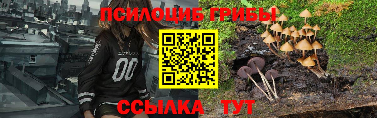 Донской  Галлюциногенные грибы Cubensis  Псилоцибиновые грибы мухоморы  Вход с VPN 